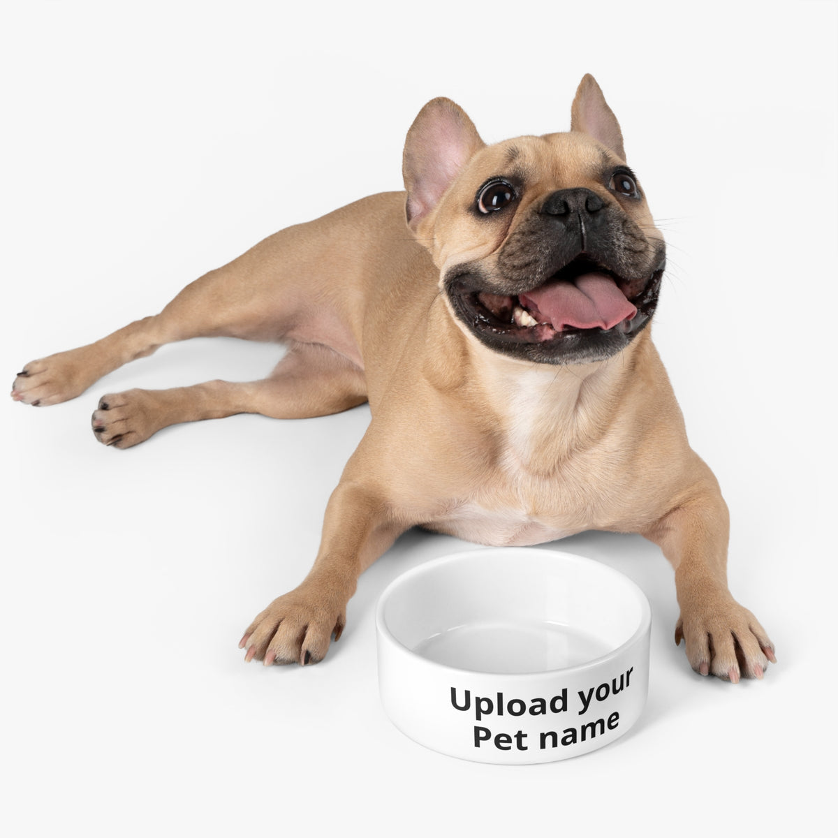 Personalized Pet Bowl — Custom Name Dog & Cat Food Bowl